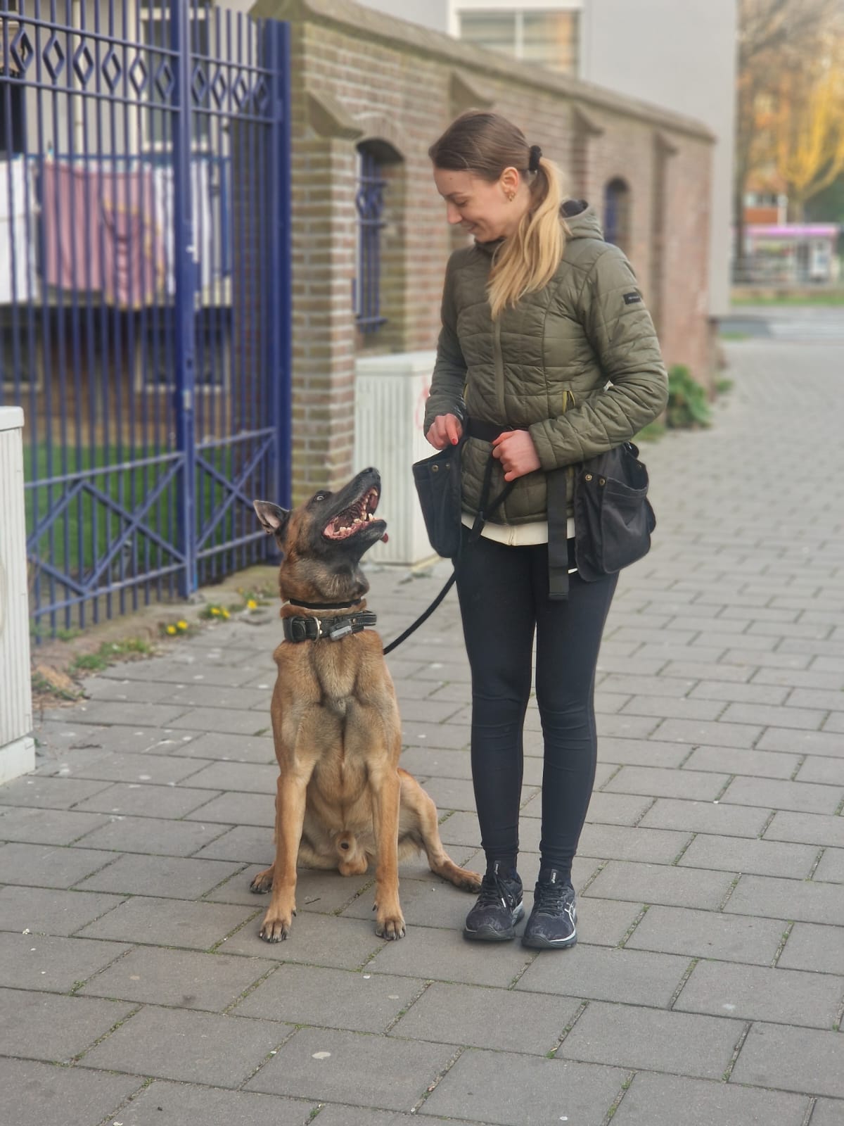 Hond tijdens privéles