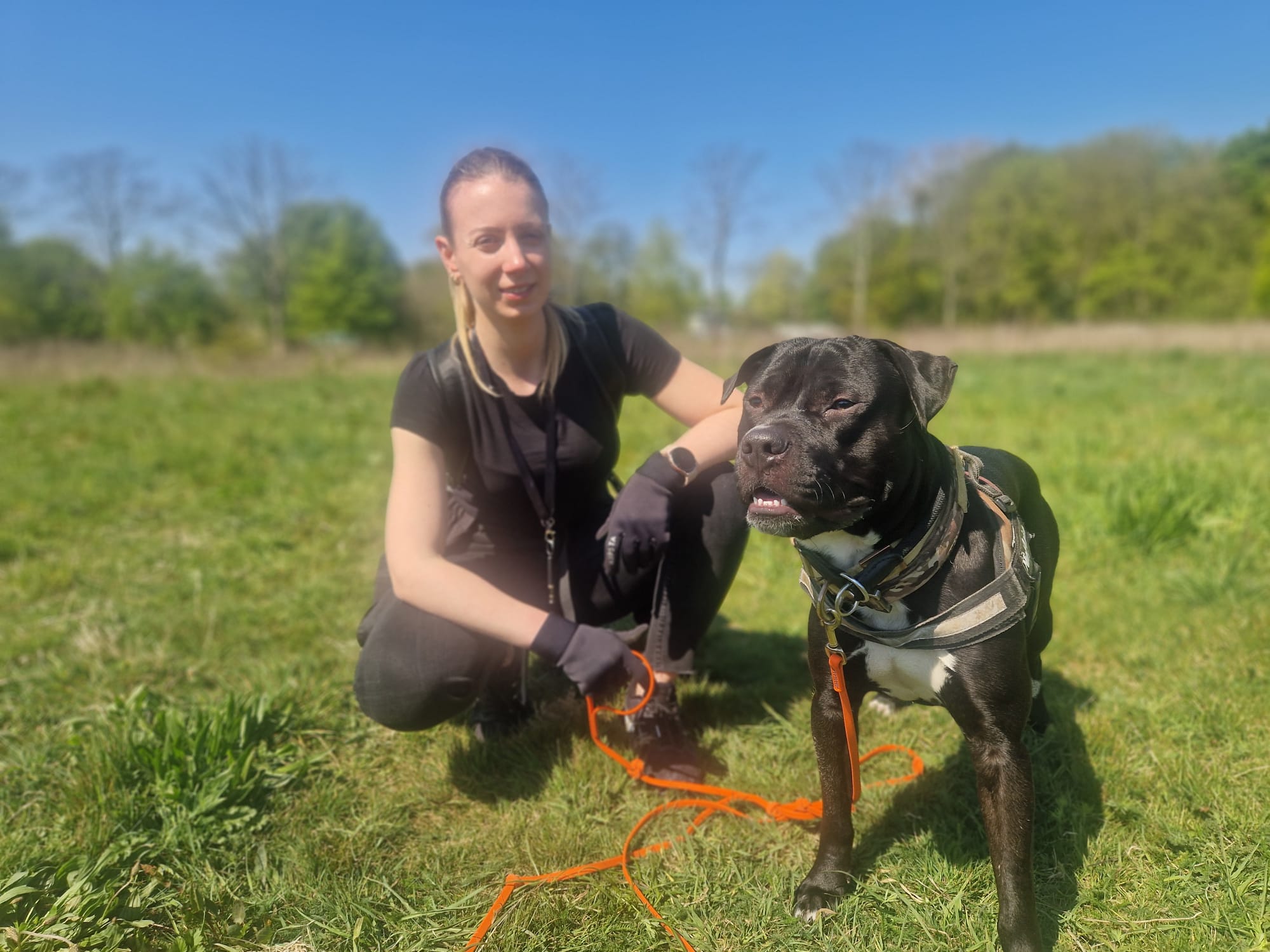 Puppy tijdens training