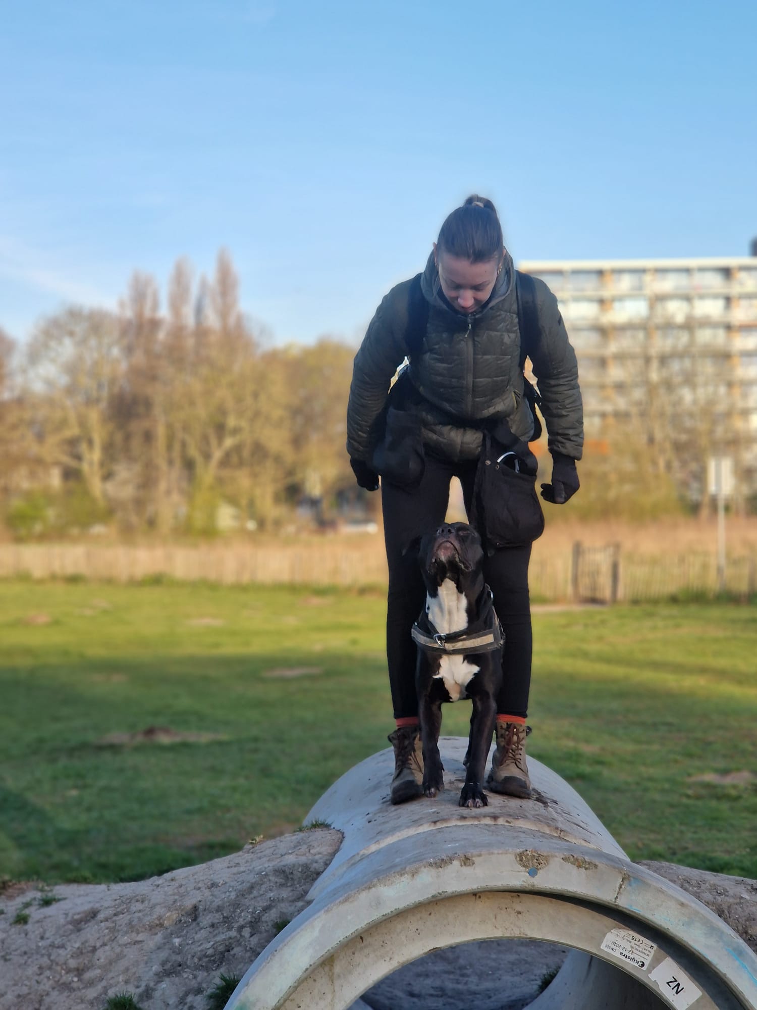 Puppy met uitdagingen